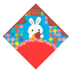 EMBALAGEM EXPRESS 24X24CM SORTIDA - 5UN