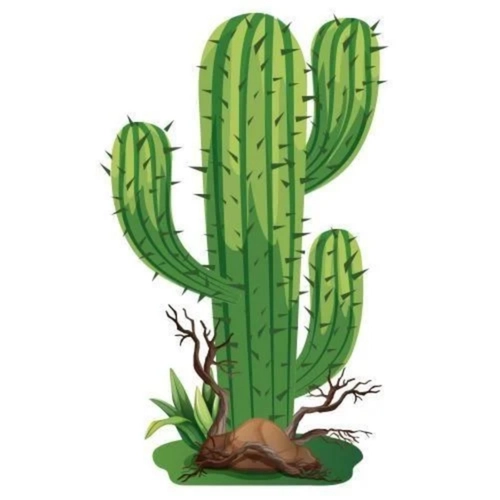 DECORAÇÃO CHÃO CACTO ARRAÍA