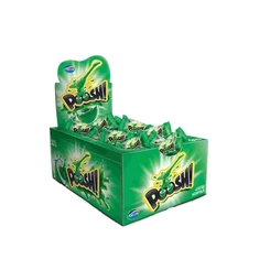 CHICLE POOSH HORTELA 200G